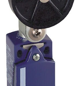 Telemecanique XCKD2139G11 Telemecanique Limit switches XC StandardStandard format - industify.com